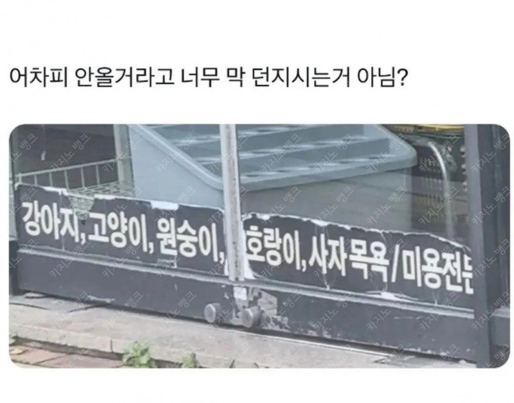 사장님 진짜 이게 맞아요? 